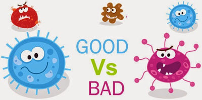 Why-Some-Germs-Are-Good-For-You