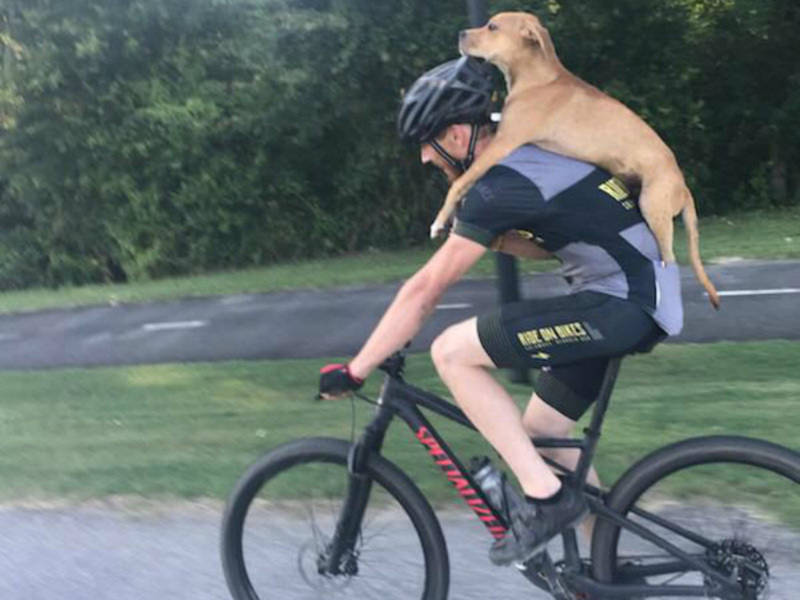 Cyclist_piggybacks_with_hurt_dog