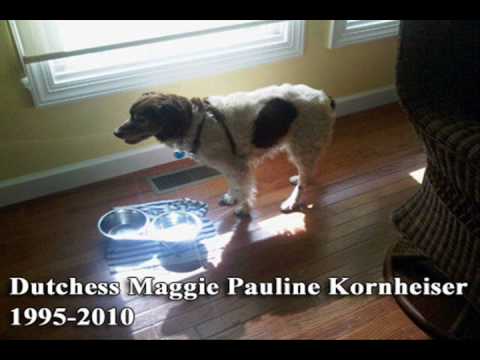 Dog-Maggie-Tony-Kornheiser