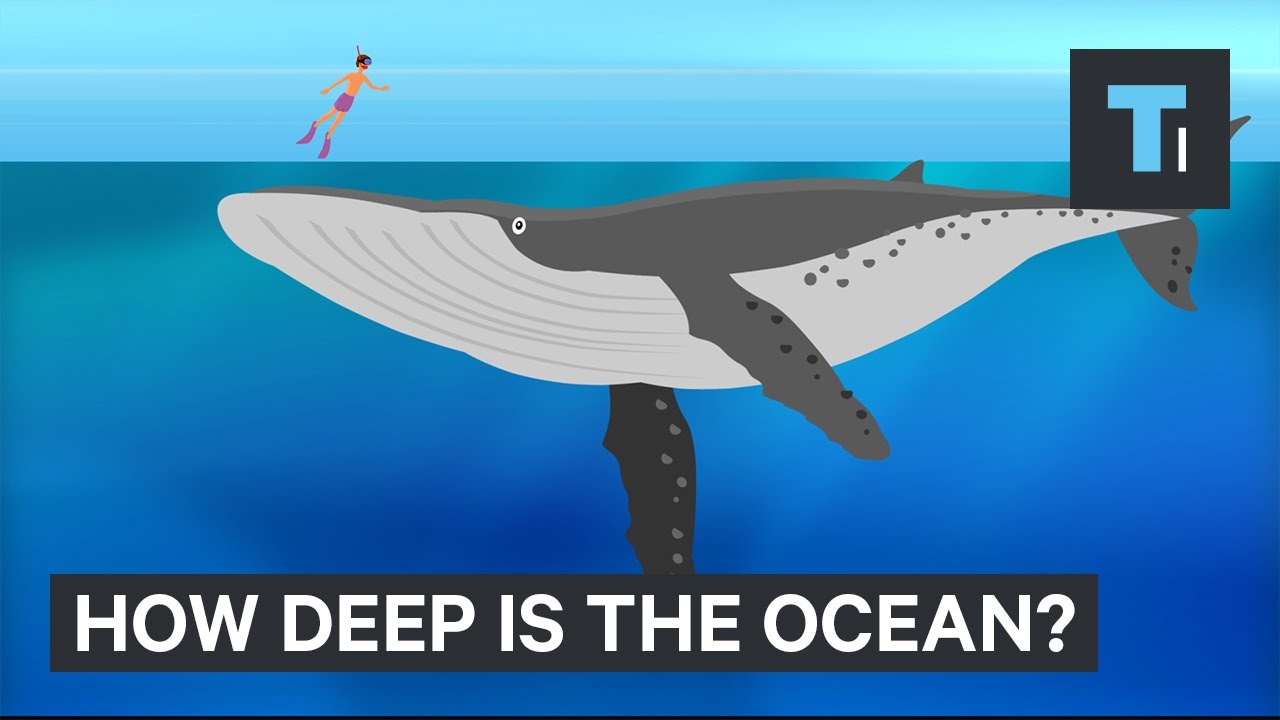 how-deep-is-the-ocean