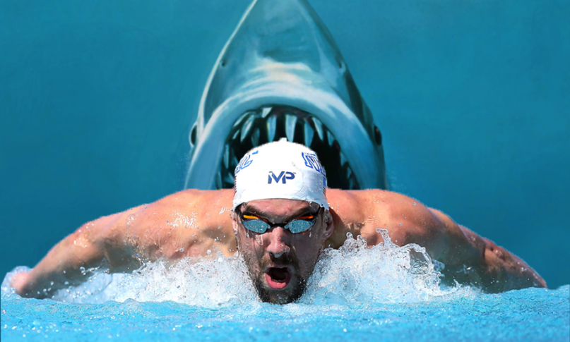 Michael-Phelps-shark-race