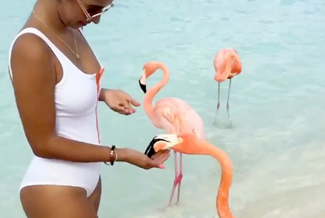 woman-swimsuit-aruba-flamingobeach